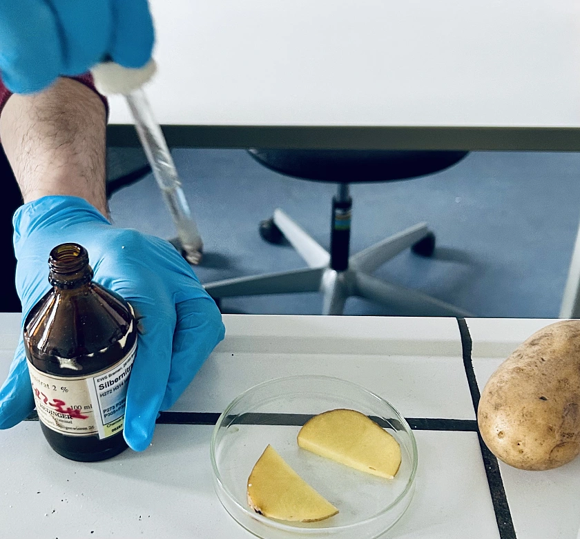 Experimentieren im Fach Biologie