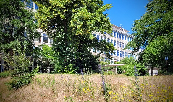 Außenansicht des Schulgebäudes von der Wiese