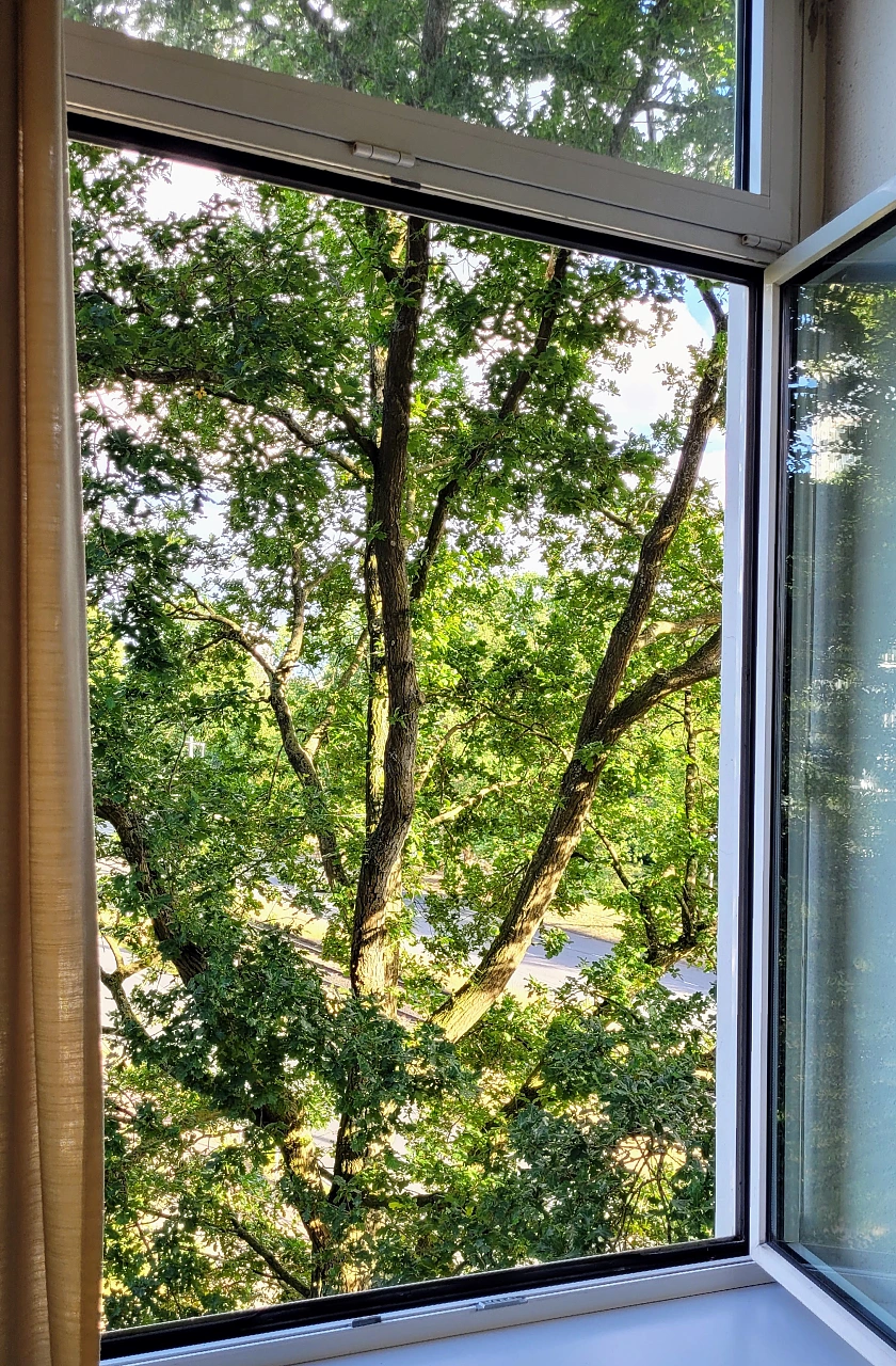 Blick aus dem Fenster