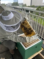Wenn Bienen beim Lernen helfen 1: Bienenstock und Imker Ralf 
&tilde; Bildnachweis: Ralf Stubbe, Birgit Eilers-Born