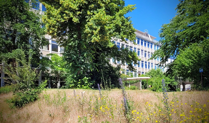 Erwachsenenschule